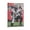 Frame-style, variant on Chris Godwin Canvas Poster Poster Decorative Painting Canvas Wall Art Living Room Posters Bedroom Painting 16x24inch(40x60cm)