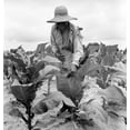 thumbnail image 2 of African American Woman Farming History (18 x 24), 2 of 2