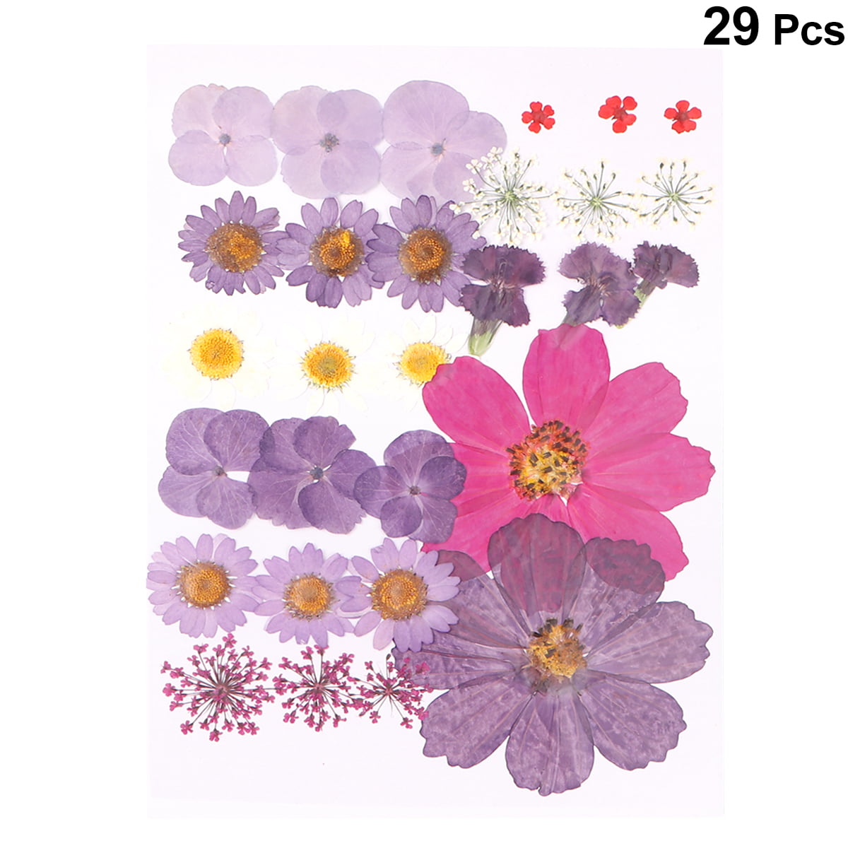 20pcs Resin Crafts Edible Flowers DIY Flower Stickers Pressed Flower  Jewelry Dried Flower Ornaments Small Dried Flowers for Resin Jewelry Bamboo  Fake