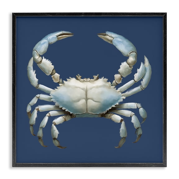 Stupell Industries Traditional Detailed Aquatic Blue Crab Black Framed Giclee Art, 12 x 12, by Elizabeth Medley