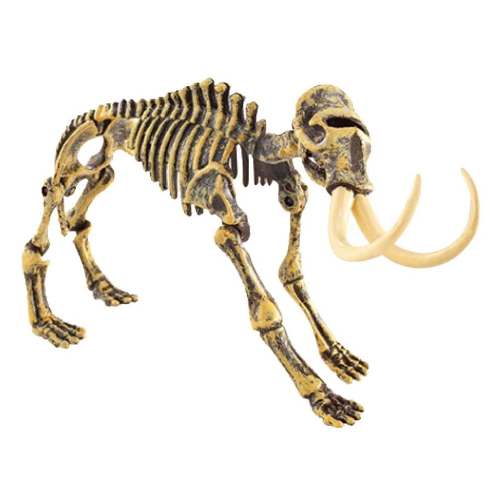 Simulation Dinosaur Fossil Skeleton Jurassic Dino Bone Toy 
