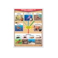 thumbnail image 1 of Póster Reino Animalia Invertebrados / Vertebrados Educatodo B-0138-I, 1 of 1