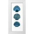thumbnail image 1 of Shamp, Cindy 10x18 White Modern Wood Framed Museum Art Print Titled - Shells, 1 of 4