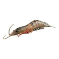 thumbnail image 2 of TISHITA Marine Animal Model Educational Learning Toy Shrimp Action Figure Toys Cognitive Black 103g, 2 of 8