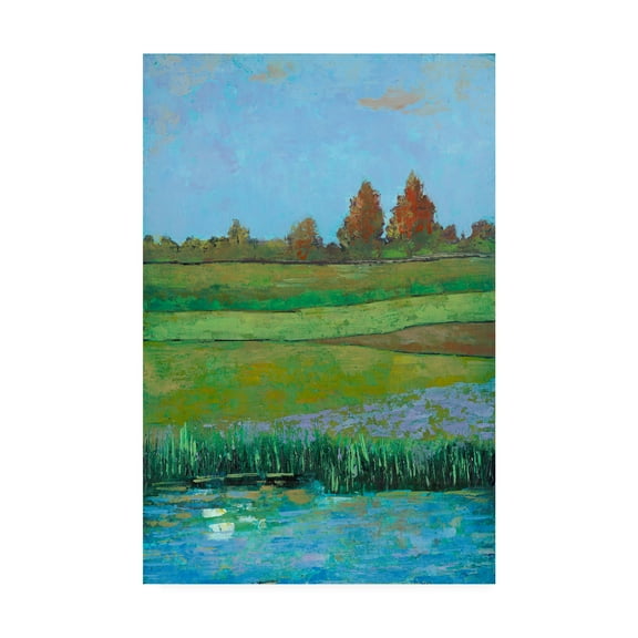Trademark Fine Art 'Impressionist Meadow II' Canvas Art by Mehmet Altug