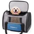 thumbnail image 1 of Transportín para mascotas BurgeonNest para gatos grandes de 9 kg y perros pequeños, 1 of 6