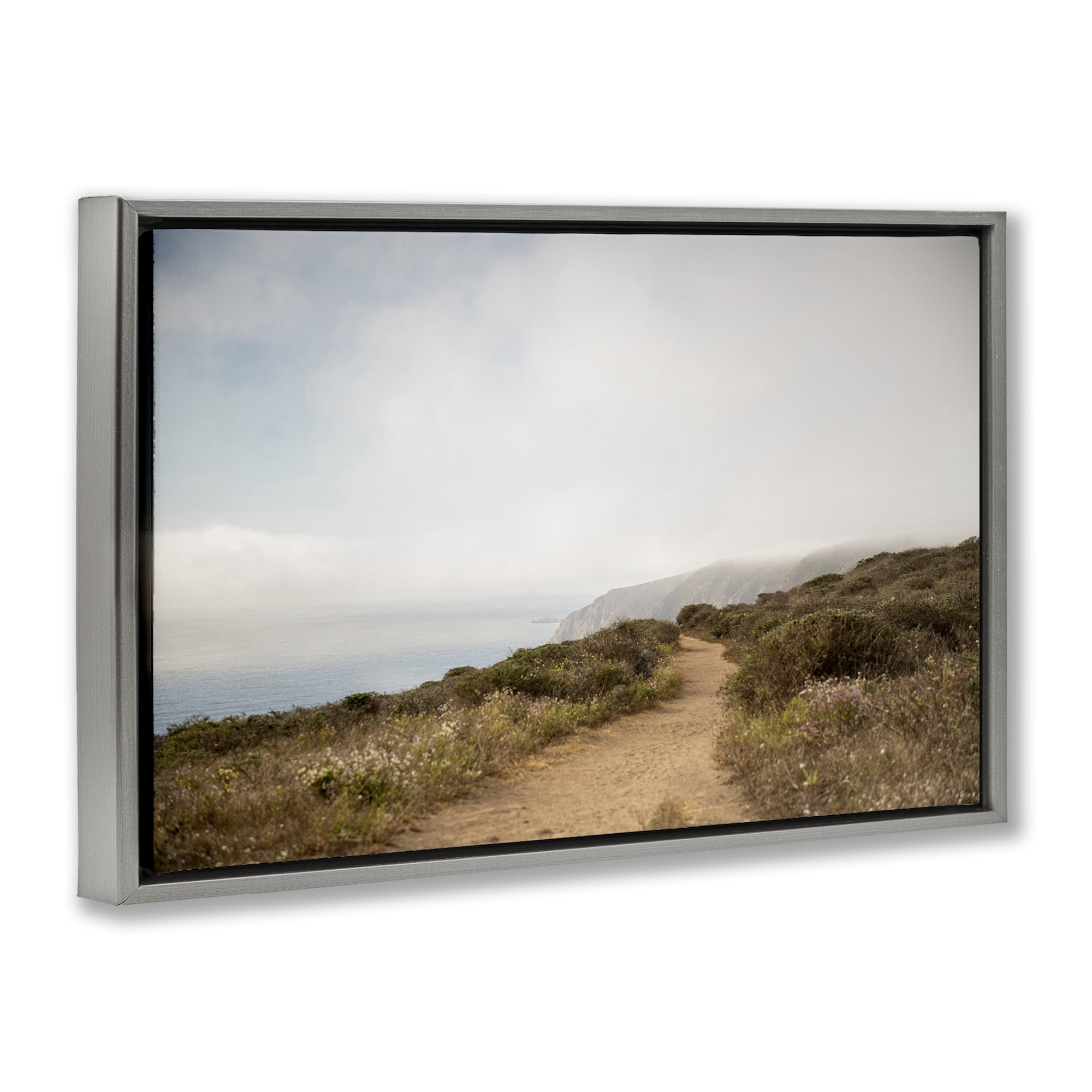 Stupell Industries Wild Coast Pathway Landscape & Nature Photography Gray Floater Framed Canvas Art Print Wall Art, 25 x 17