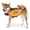 Orange, variant on Amztom Dog Life Jacket, Quick Release Buckles & Rescue Handle, Adjustable Breathable Dog Life Vest for Swimming (Green,S)