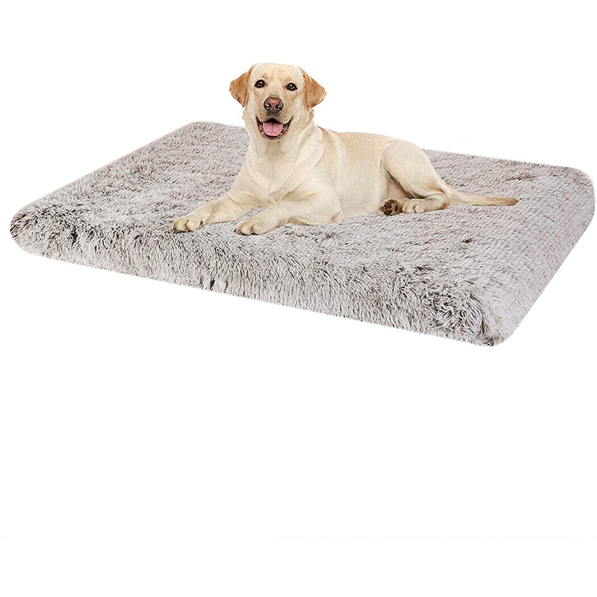 Memory Foam For Dog Crate atelieryuwa.ciao.jp