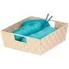 Honey Can Do Woven Basket with Handles and Iron Frame, Crème