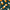 Floral Oranges, variant on FORMRS 1-Subject Spiral Notebook 8" x 5" College Ruled 60 Refillable Sheet, 2 Pack, Floral Oranges