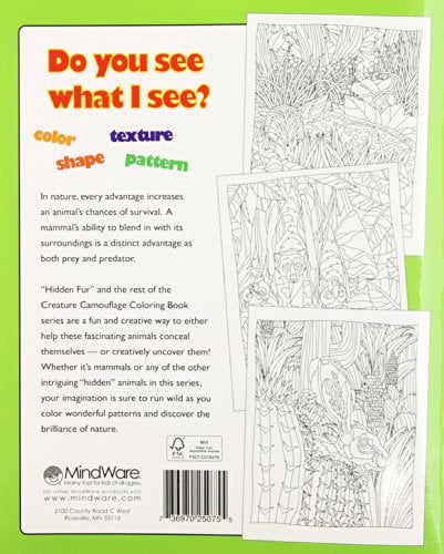 Creature Camouflage Colouring Books Hidden Animals MindWare 