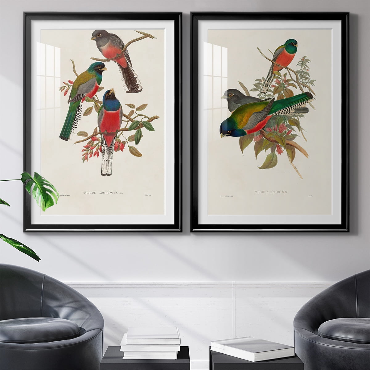 Wexford Home Elegant Trogons IX Premium Framed Print, 26.5" x 36.5" - Ready to Hang, Black (Set of 2)