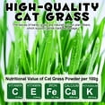 thumbnail image 4 of Oimmal Cat Grass Sticks for Indoor Cats, 60g Freeze Dried Cat Grass Sticks for Removal Hairball, Supports Digestive Health for Cats, Fresh Breath - Chicken Flavor, 4 of 12