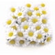 thumbnail image 1 of 100pcs Artificial Daisy Gerbera Heads Fake Flower Decorative Silk Plant For Home, 1 of 4