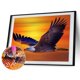 thumbnail image 2 of Cuadros Decorativos 5D bricolaje completo taladro diamante pintura vuelo águila punto de cruz bordado Kit Wdftyju embutido en tela, 2 of 9