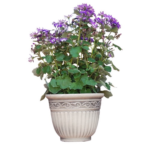 Griffith Creek Designs Fiber Clay Pot Planter by Austram Inc