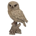 thumbnail image 1 of Chouette Trompette -DRIFTWOOD LOOK-, 1 of 5