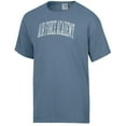 thumbnail image 2 of Men's-ComfortWash  Heather Blue Air Force Falcons Distressed Arch T-Shirt, 2 of 3