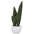 thumbnail image 1 of Bouclair White Faux Rattan Ceramic Pot with Artificial Plant, 1 of 5