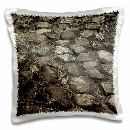 3dRose Puerto Rico, Taino peoples ceremonial site, path-CA27 WBI0227 - Walter Bibikow - Pillow Case, 16 by