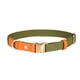 thumbnail image 1 of Vibrante en varias opciones de colores: collar para perros de nailon de primera calidad con cierre de metal, 1 of 5