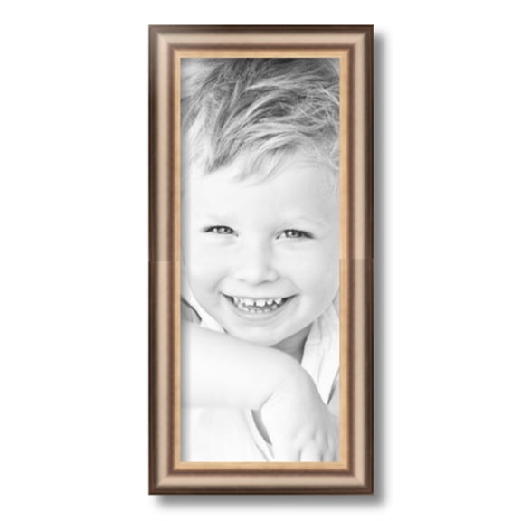 ArtToFrames 7x17" Anique Silver Picture Frame, Silver Wood Poster Frame, with Regular Glass and 2 (FBPL-4964)