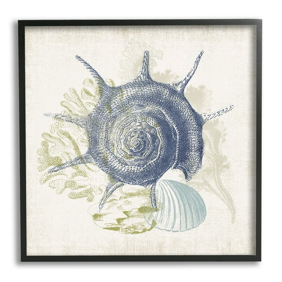 Stupell Industries Intricate Conch Seashell Drawing Layered Coral Botanicals Graphic Art Black Framed Art Print Wall Art, Design by Victoria Barnes
