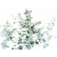 thumbnail image 2 of Nai, Danhui 14x12 Black Ornate Wood Framed with Double Matting Museum Art Print Titled - Eucalyptus I Cool, 2 of 4