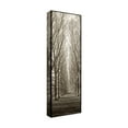 thumbnail image 4 of Trademark Fine Art Alan Blaustein Hampton Gates Promenade Canvas Wall Art - 16x47, 4 of 4