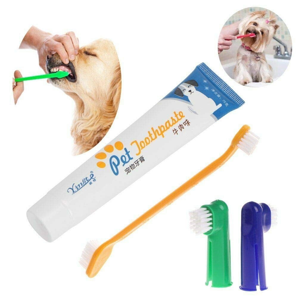 Dog toothbrush and toothpaste walmart clearance