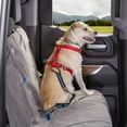 thumbnail image 5 of Kurgo Direct to Seatbelt Tether - Cinturón de seguridad para perros y cinturón de seguridad para coche para perros, color azul, 5 of 5