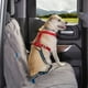 thumbnail image 5 of Kurgo Direct to Seatbelt Tether - Cinturón de seguridad para perros y cinturón de seguridad para coche para perros, color azul, 5 of 5