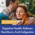thumbnail image 6 of Stop Aging Now - AcidRelief360 Formula with GutGard - Complete Support for Occasional Heartburn - 60 Veggie Caps, 6 of 8