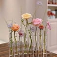 thumbnail image 2 of 8PCS Test Tube Vases Decorative Glass Flower Vase Hinged Flower Vases Planter Flower Arranging Container Hydroponic Flower Holder Decor with 15PCS Hooks and 2PCS Brushes (VASES-B), 2 of 7