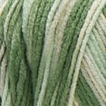 thumbnail image 6 of Red Heart Super Saver Yarn, Desert Camo, 6 of 7