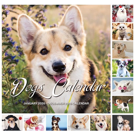 OMEYA 2026 Wall Calendar, 12-Month Calendar 12" x 12", Hanging Calendar with Thick Paper, Julian Dates, 4 Month Preview Page for 2025, Cute Puppies Design for Office, Home Planning, Great for Gifting