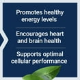 thumbnail image 4 of Life Extension L-Carnitine – 500 mg, Energy Supplement, Memory Supplement – Free Form Amino Acid, Nitric Oxide Support, Healthy Blood Pressure – Gluten-Free, Non-GMO, Vegetarian – 30 Capsules, 4 of 10