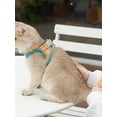 thumbnail image 5 of Shengshi Cat Dog Harness And Leash Set - Suede Adjustable Comfort No Pull Puppy Vest Harnesses For Cats Dogs Walking, 5 of 11