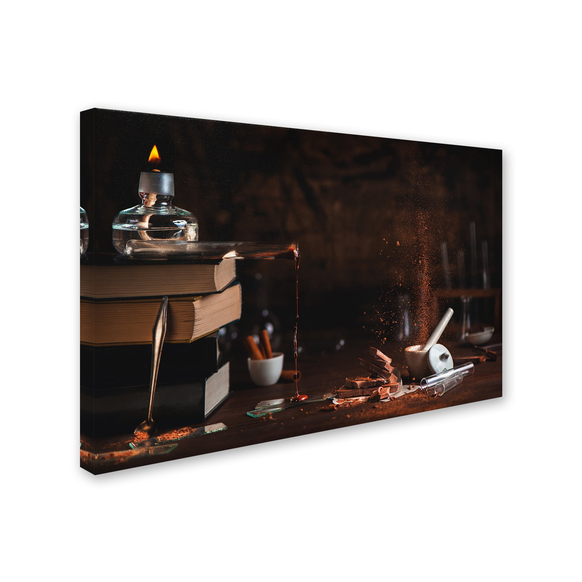 Trademark Fine Art 'Phases Of Chocolate' Canvas Art by Dina Belenko
