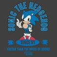 thumbnail image 2 of Mens Sonic the Hedgehog Faster Than the Speed of Sound Sweatshirt, 2 of 4