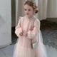 thumbnail image 3 of Spring Girls' Princess Dress 2-6Y Elegant Tulles Long Sleeve Kid's Fluffy Dress Children's Clothes Girls Birthday Dresses, 3 of 6