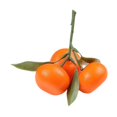thumbnail image 4 of Simulación de fruta, naranja Artificial con hoja, Mini adorno de mandarina, modelo pequeño realista de Kumquat para restaurante de granja, 4 of 8