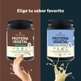 thumbnail image 2 of NOCHIOLA Prote&iacute;na Vegetal en Polvo, Sabor Chocolate Belga, 23g Prote&iacute;na por Porci&oacute;n, Vegana, Sin Az&uacute;car, con Probi&oacute;ticos, 450g, 15 Porciones, 2 of 6