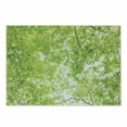 thumbnail image 1 of Leaves Cutting Board, Fresh Summer Branches Leaves of a Tree Epic View from the Ground Growth Botanical Picture, Decorative Tempered Glass Cutting and Serving Board, Small Size, Green, by Ambesonne, 1 of 1