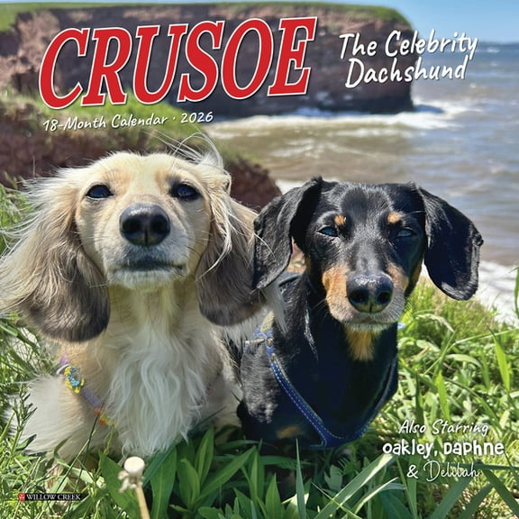 Crusoe the Celebrity Dachshund 2026 Mini Wall Calendar, (Paperback)