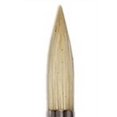 thumbnail image 1 of CEPILLO DIXON TIC/PRINCETON DIXON TIC/PRINCETON BRUSH  RS222145012, 1 of 1