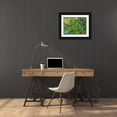 thumbnail image 3 of Eggers, Terry 14x12 Black Ornate Wood Framed with Double Matting Museum Art Print Titled - Indonesia-Bali-Ubud-Tegallalang Rice Terraces near Ubud, 3 of 4