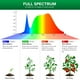 thumbnail image 4 of Bombilla LED para cultivo SANSI espectro completo 10W (paquete de 4), 4 of 6