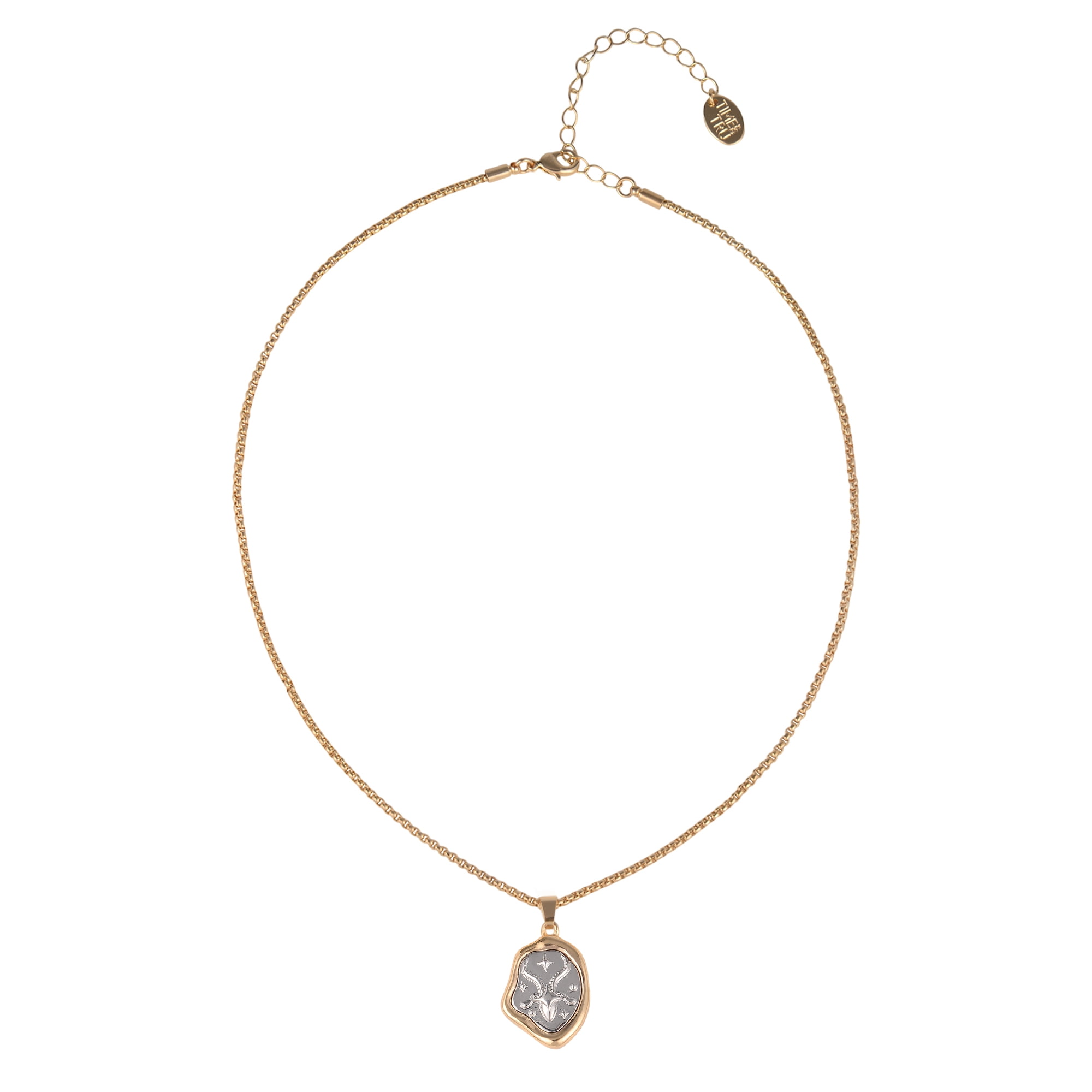 Time and Tru Goldtone Silvertone Reversible Pendant "Capricorn" Necklace